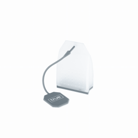 Tea Bag Shaped Infuser By True