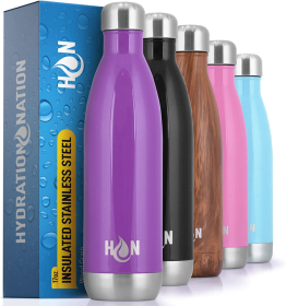 Hydration Nation Double Wall Insulated Water Bottle (Color: AMTHYST, size: 25oz)